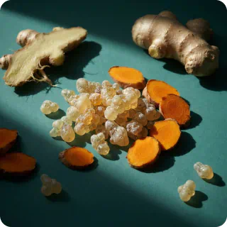 Boswellia, Turmeric, and Ginger