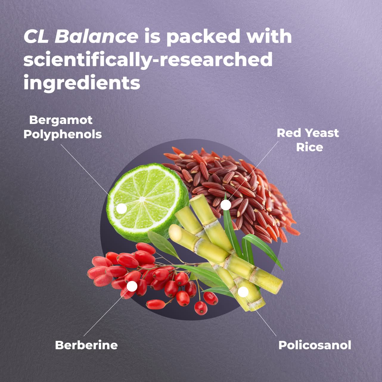 CL BALANCE