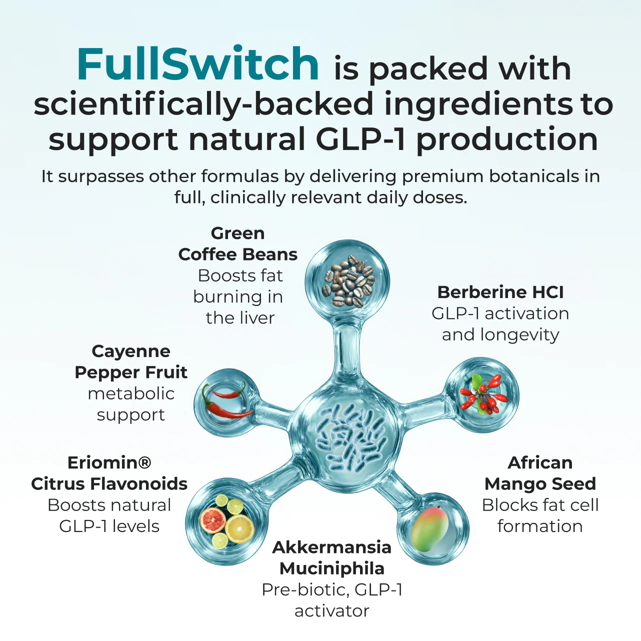 FullSwitch