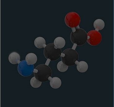 Gamma-Aminobutyric Acid