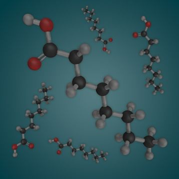 Caprylic Acid
