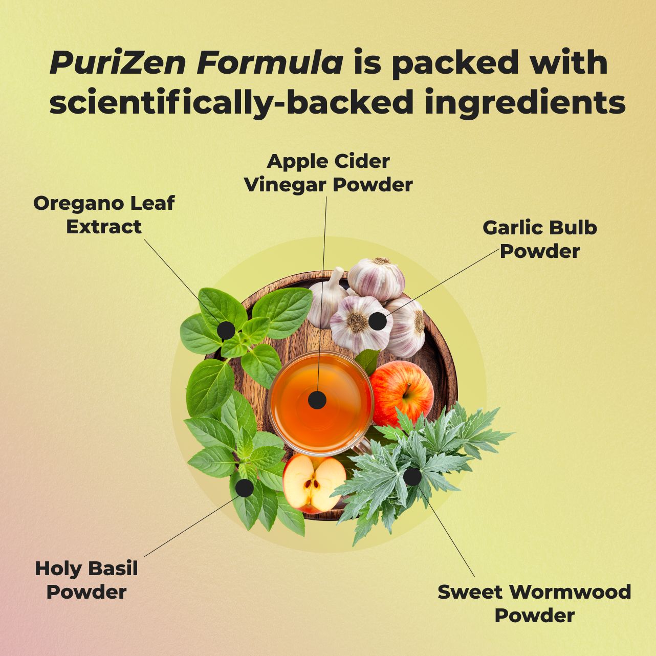 PuriZen