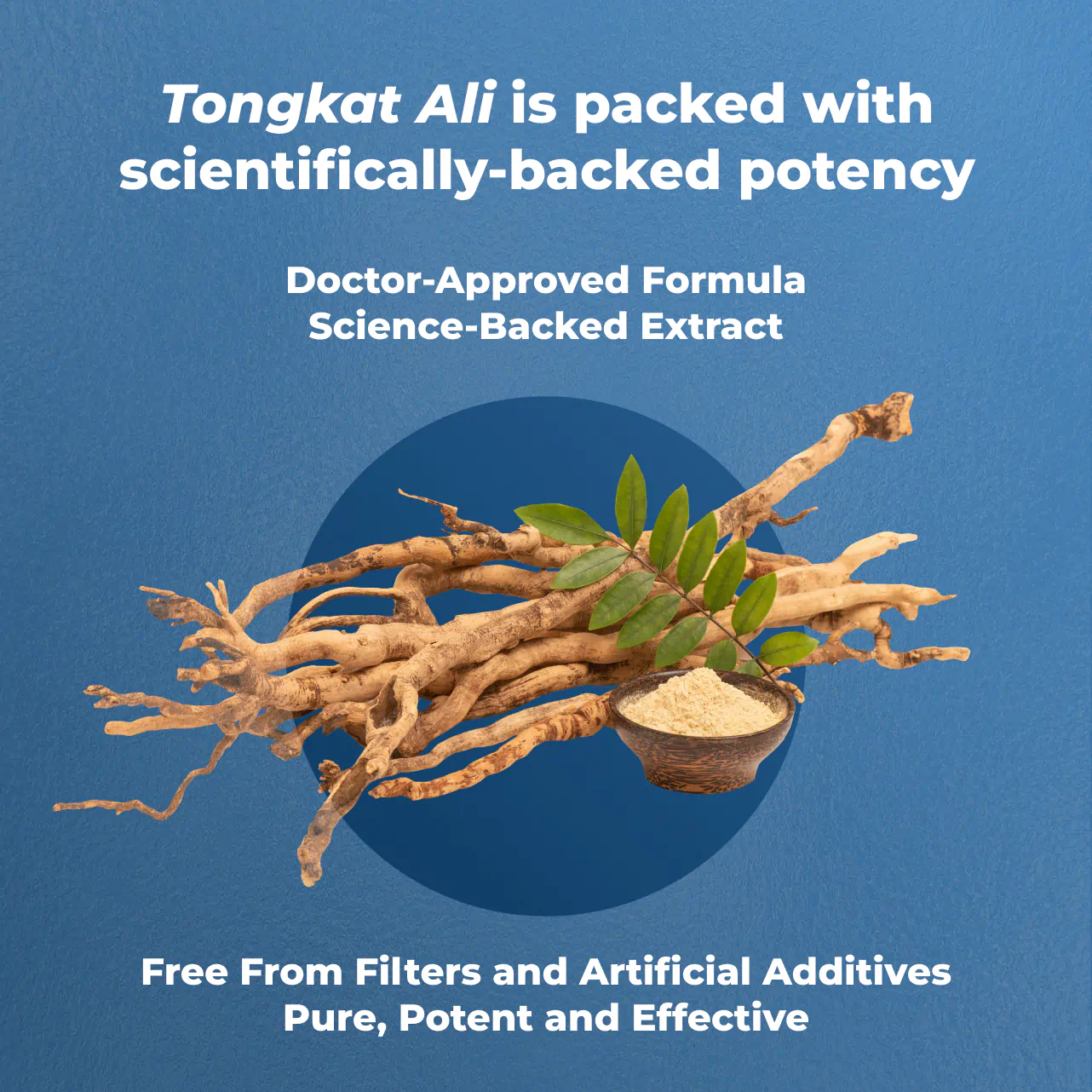 Tongkat Ali